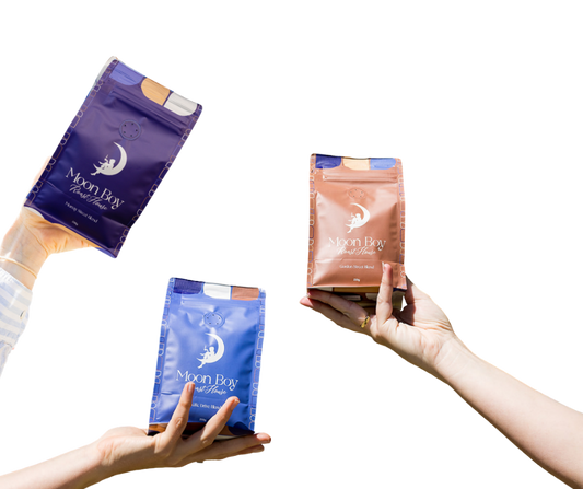 Introduction Bundle