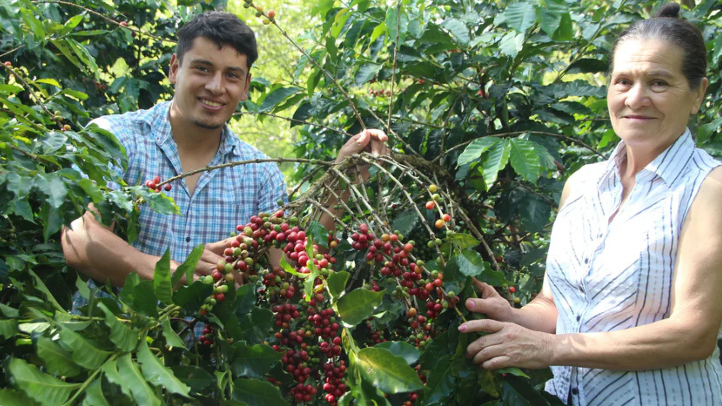 Finca Nicolás - COMING SOON SEPTEMBER