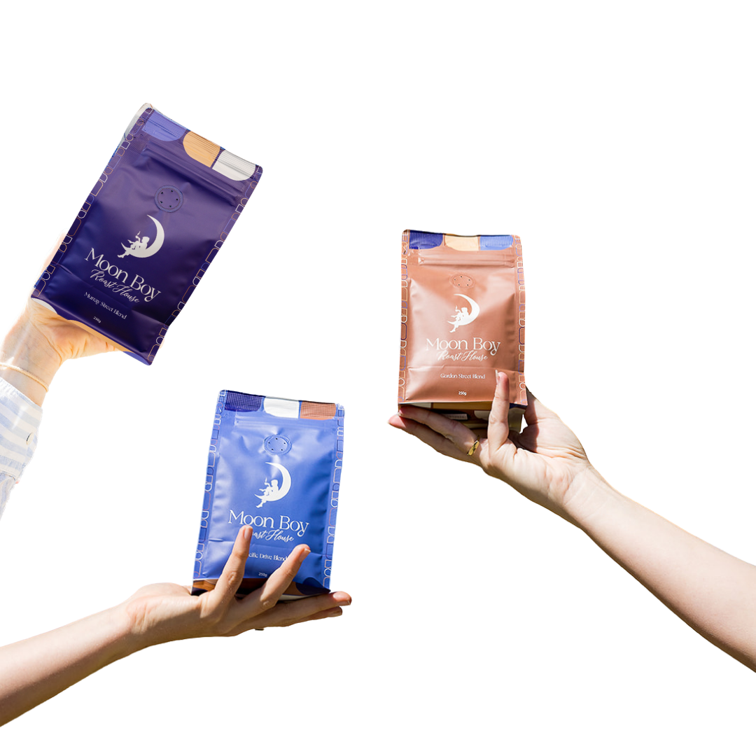Introduction Bundle