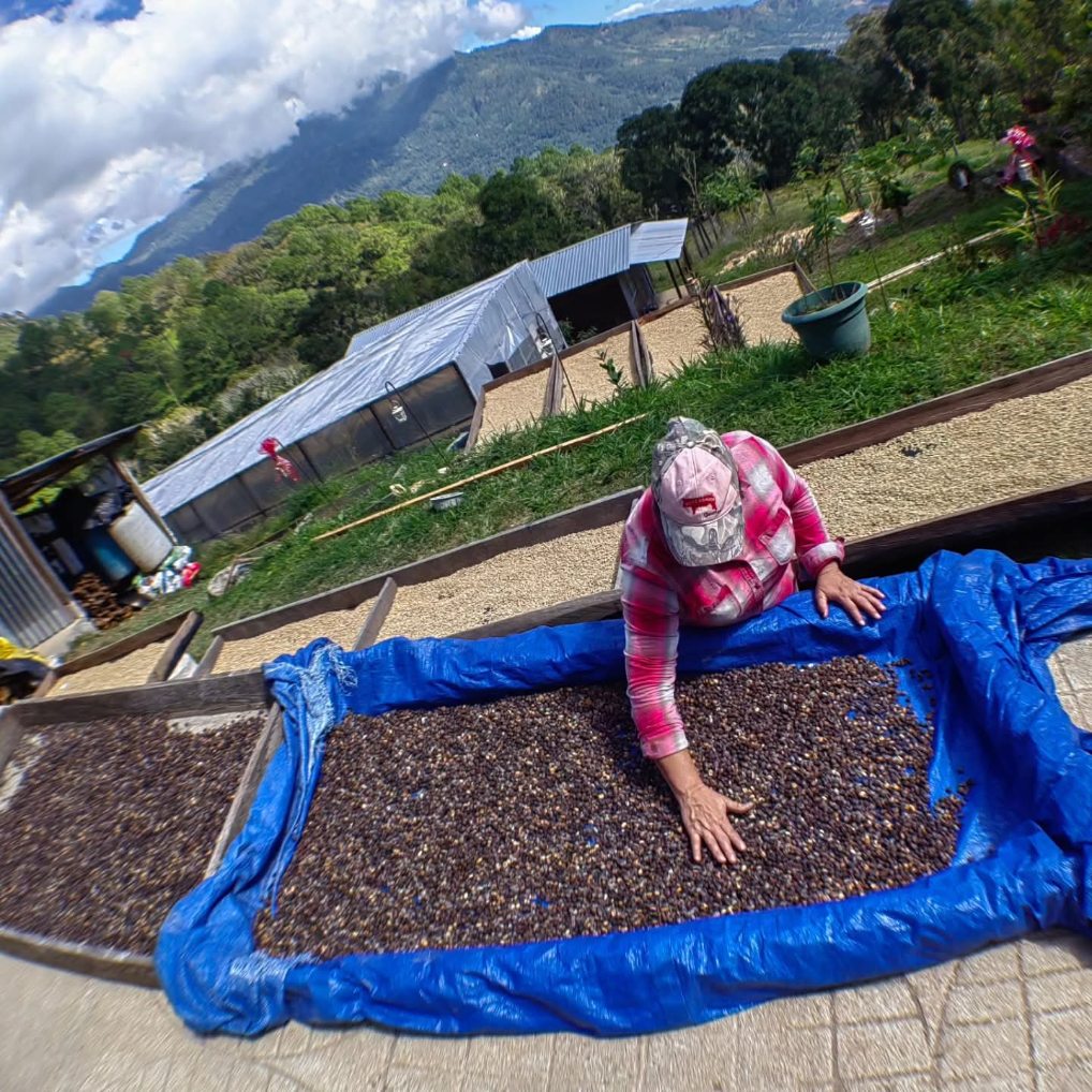 Finca Nicolás - COMING SOON SEPTEMBER