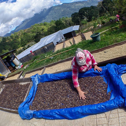 Finca Nicolás - COMING SOON SEPTEMBER