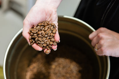 Gordon Street Blend
